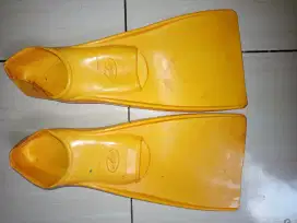 Fins sepatu katak