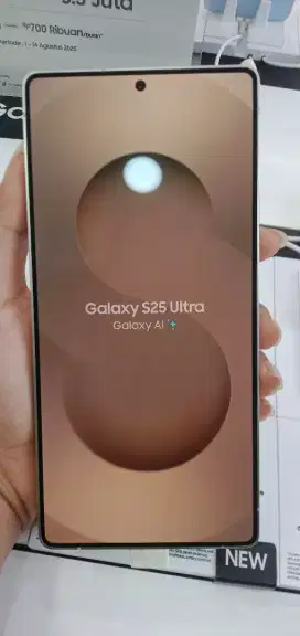 Samsung S25 Ultra 12/256GB Erafone Paradise Walk