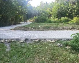 Jual Tanah  Jl. Nagung-Brosot Kulon Progo Dekat Bandara YIA