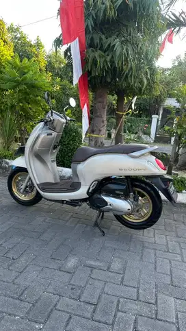 scoopy prestige 2021