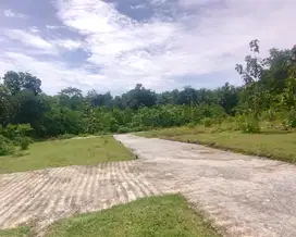 Tanah Cerme Panjatan Dekat Bandara YIA