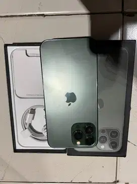 Iphone 13 promax 128gb ex inter warna green