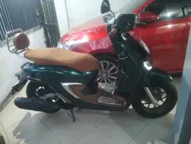 Stylo ABS  2024 warna special hijau