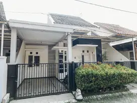 Dijual Murah Rumah 3 Kamar Ikan Piranha Sudimoro Blimbing Malang