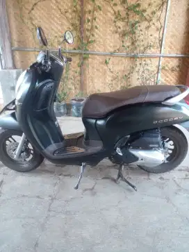 Scoopy Rasa Baru