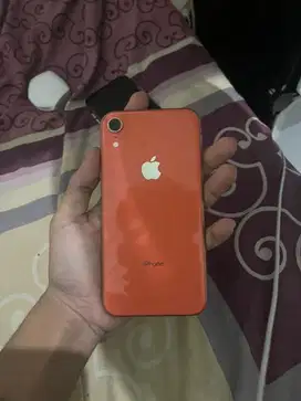iPhone Xr 256 Allopp