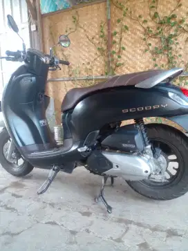 Scoopy Rasa Baru