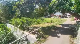 Tanah murah dekat jalan utama