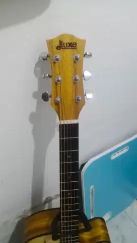 Gitar akustik dluxe df100