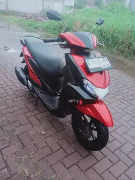 Freggo 125 Thun 2019 terawat