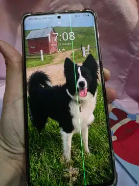 Samsung S21 Ultra 12/256