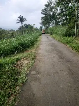 TANAH MURAH LOKASI JABUNG KABUPATEN MALANG
