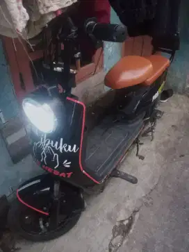 Selis prostreet.bu