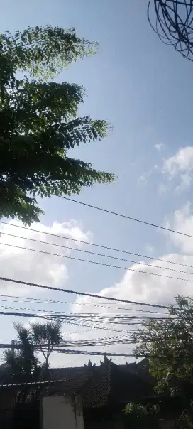 Art.. Atau  harian juga bisa