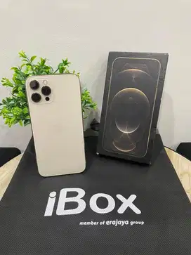 IPhone 12 ProMax 256GB iBox Gold mulus Fullset Ori BH 83% 3Utool 98