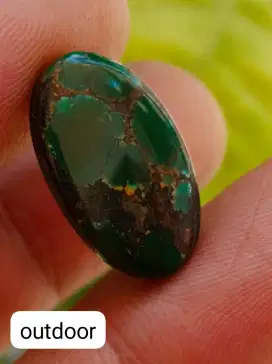Pirus persi deep green (ijo kedondong)