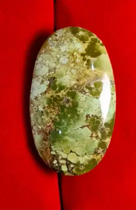 pirus persi gradasi warna size JUMBO