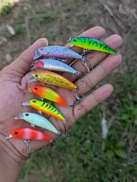 Umpan Minow casting Warna Top Amis Gacor