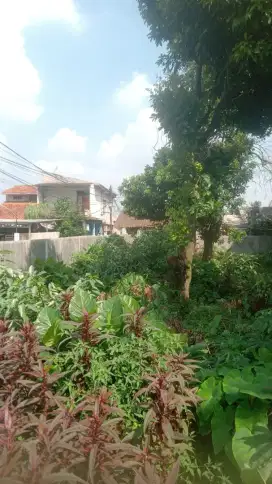Dijual tanah strategis dekat dengan pintu RSUI