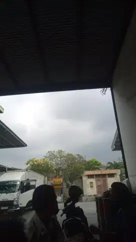 Supir frelance barang kali ada yg butuh