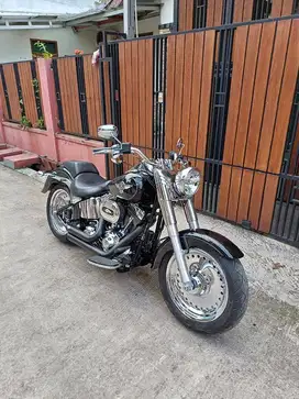 Fatboy 2012,roadking,sportster