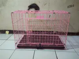 Kandang oktagon