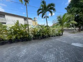 700 METER UGM UNY, Tanah Jogja Prospek Kost dan Homestay