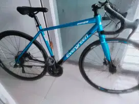 Sepeda roadbike Evergreen rapier doublecakram