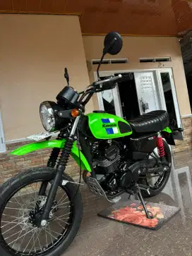 Kawasaki W175 TR