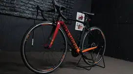 Sepeda Polygon Strattos S7