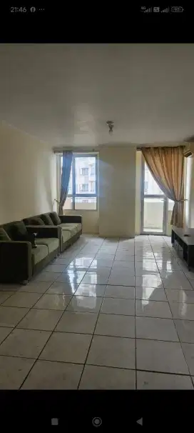 Disewakan Apartemen Paladian Park C809