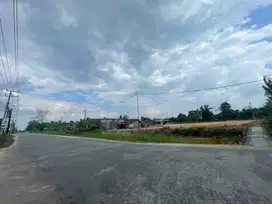 Tanah Kavling di Sekojo Ujung Suka Mulya Pinggir Jl. Irigasi: SHM