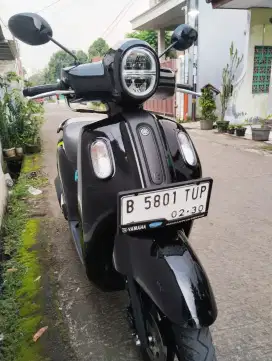 Yamaha Freego 2025 Yamaha Fazzio 2025