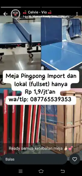 Tenis meja baru SNI wa