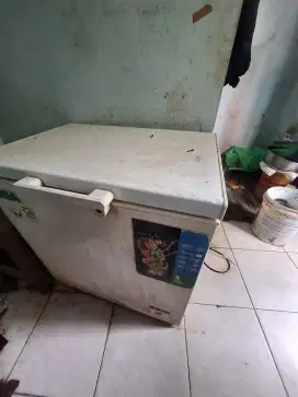 Freezer RSA 200L