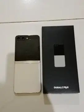 Flip 5 512gb sein