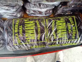 Gula habang kalimantan selatan