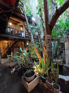Rumah Natural Tropis Bertetangga dengan Tugu Jogja