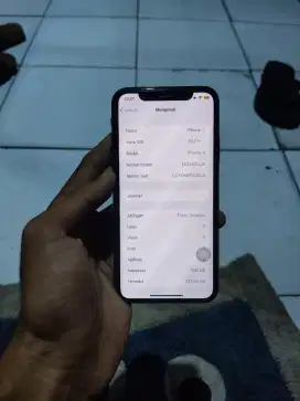 iPhone x 256gb ex inter ll/a