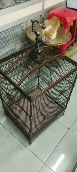 Sangkar Kotak Jati No 2 istimewa