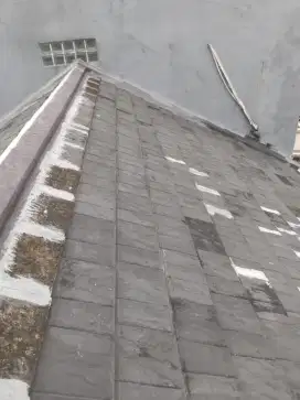 TUKANG PERBAIKAN ATAP BOCOR DINDING DAK REMBES TALANG AIR RENOVASI DLL