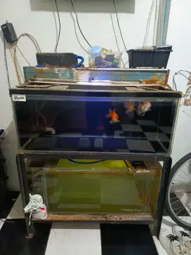 Aquarium 2 set dan Rak Hollo