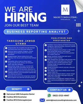 Business Reporting Analyst