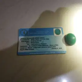 Bacan Palamea Grade A Berkualitas