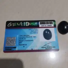 Kecubung Teh Borneo