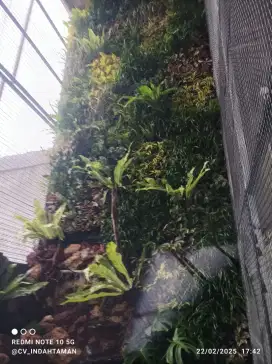 Vertical garden harga permeter