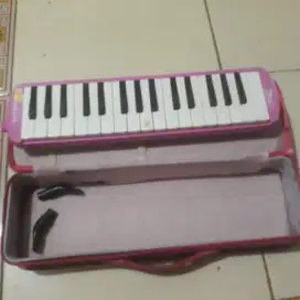 Pianika Pink Plus Puzzle