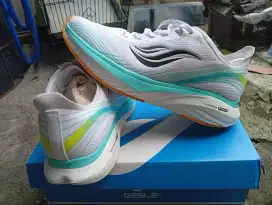 Sepatu running desle
