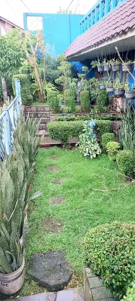 Rumah Hook Dalam Cluster Lingkungan Nyaman Bintaro Jaya  3394