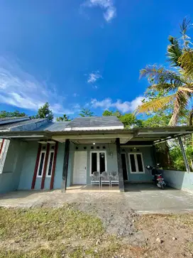 Rumah disewakan
